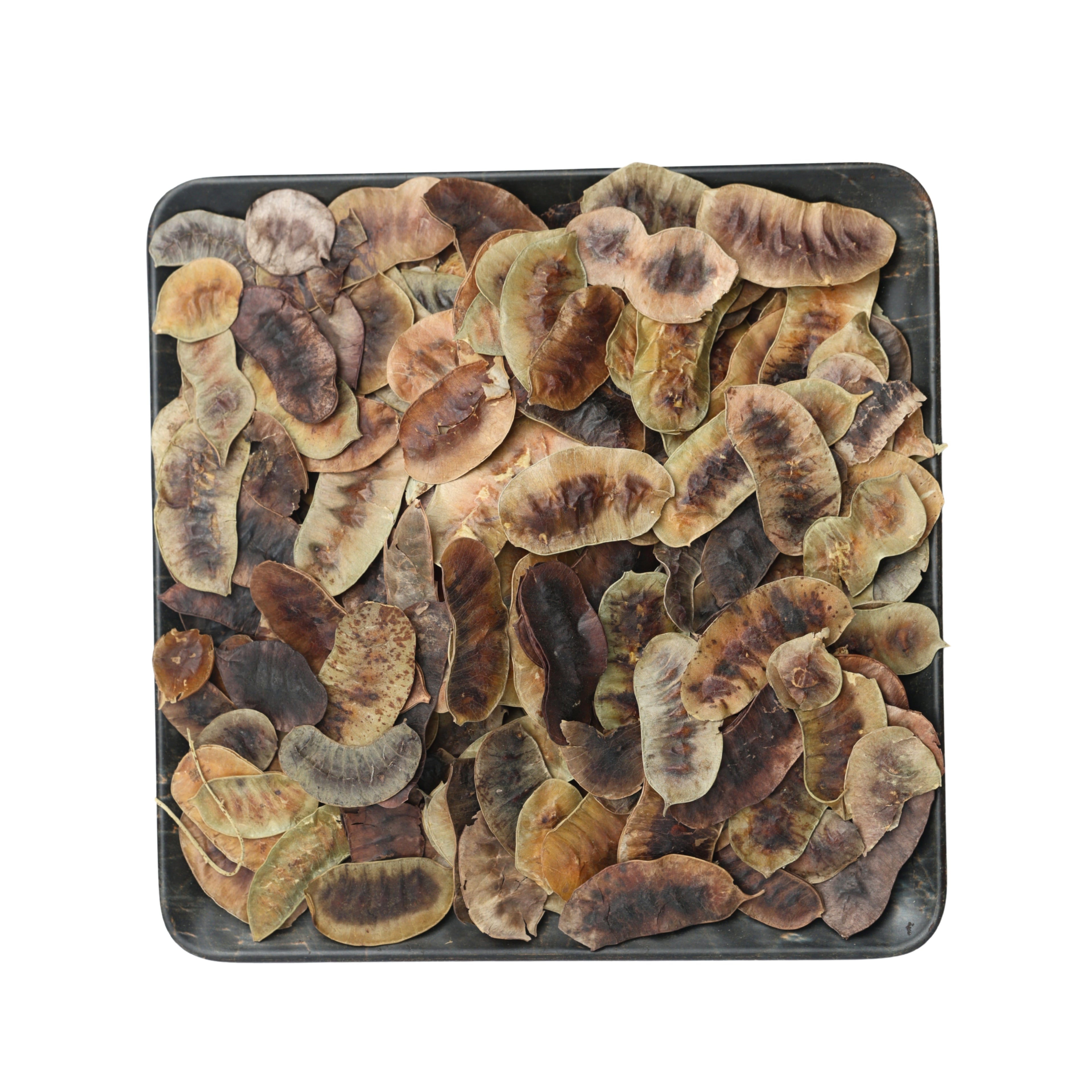 بذر عشرج
