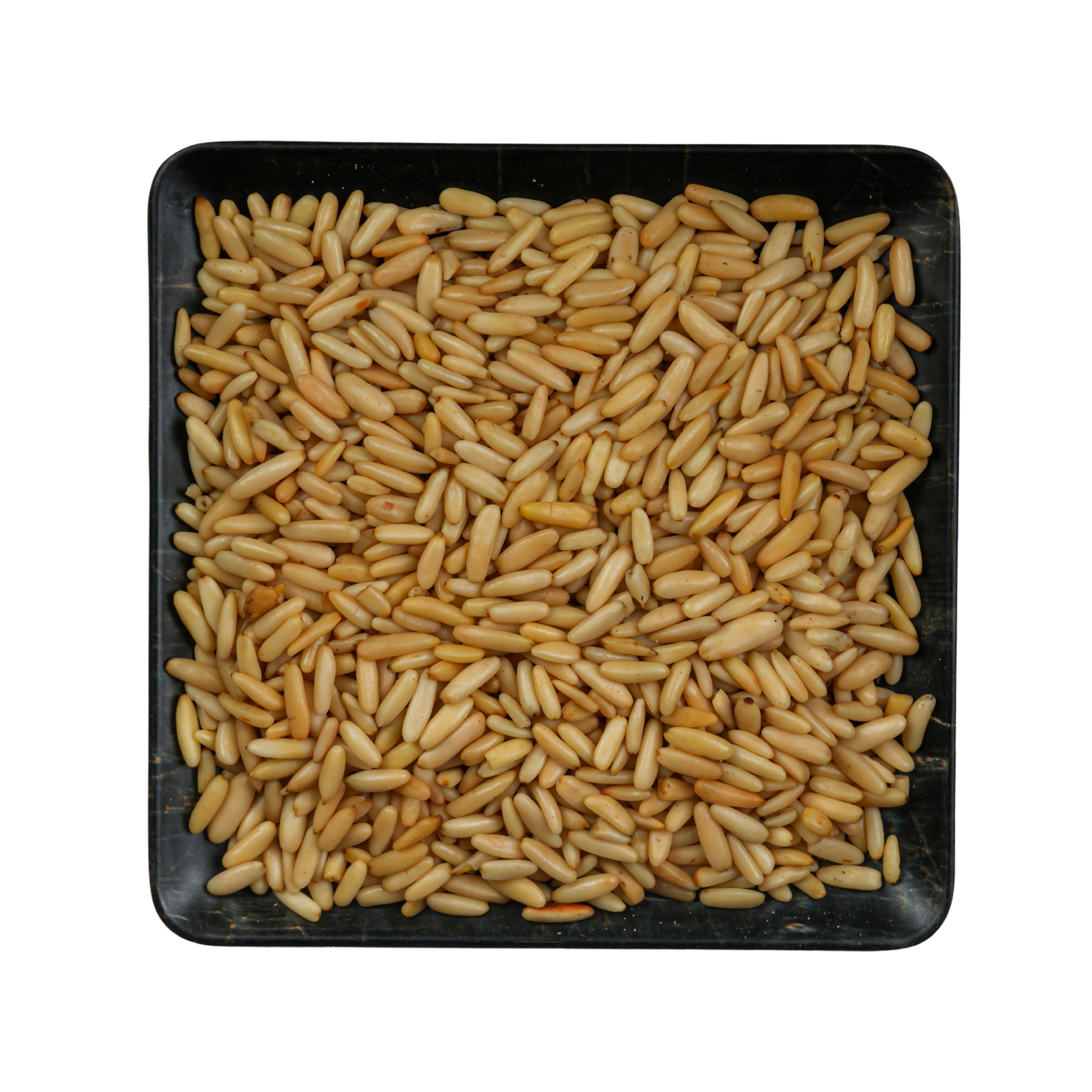صنوبر باكستاني