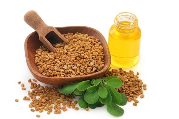 زيت الحلبة ( الرحمت )