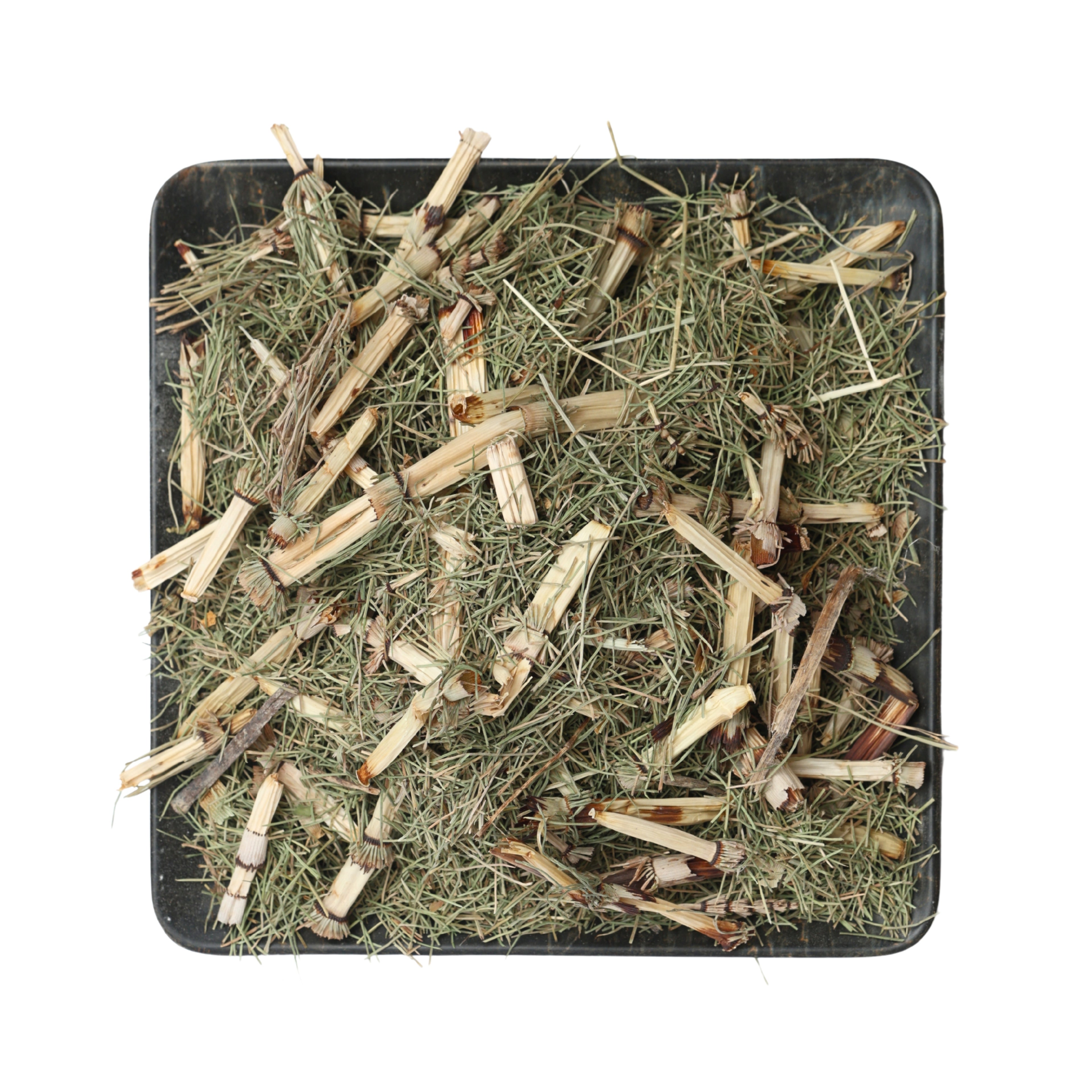عشبة ذنب الخيل