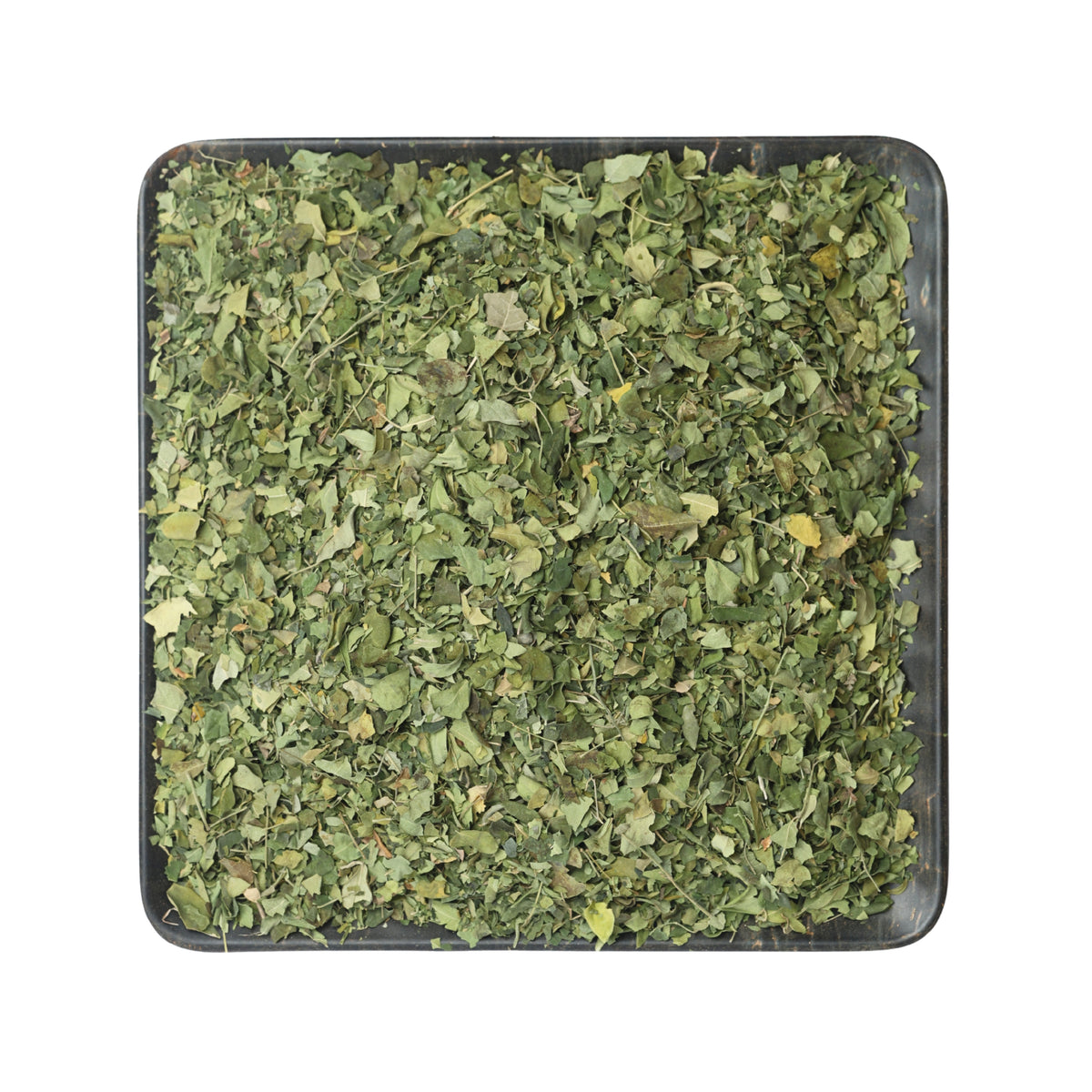 مورينجا
