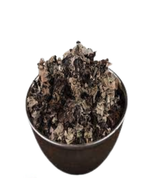 عشبة الشيبة حب