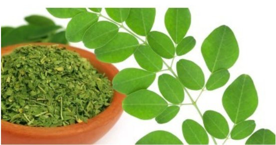 عشبة المورينجا علبة