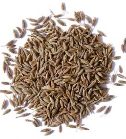 كمون هندى حب