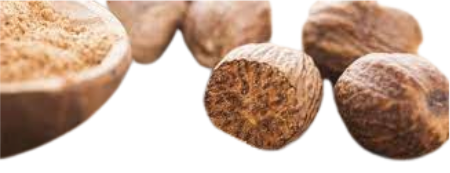 بهار هندي حب