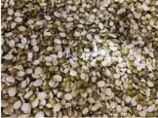 ماش أخضر مجروش